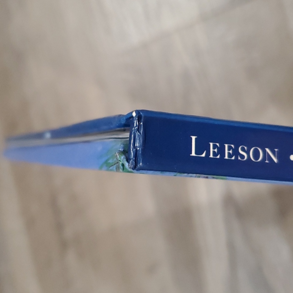 The Very Special Christmas w/ Twinkle Lights by Christine Leeson & Gaby Hansen - Picture 5 of 8